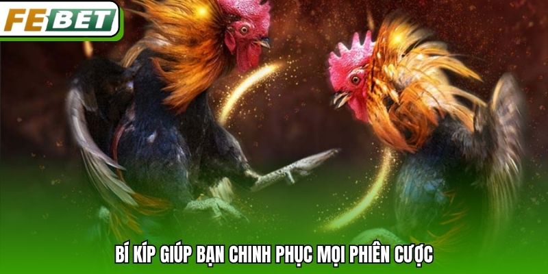 Bí kíp giúp bạn chinh phục mọi phiên cược