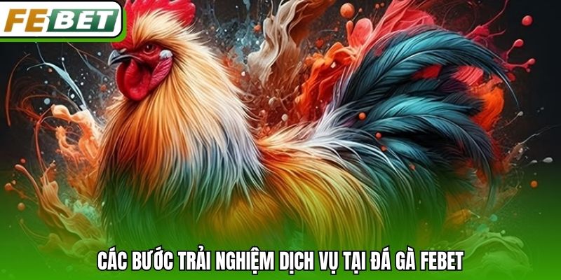 Các bước trải nghiệm dịch vụ tại đá gà Febet