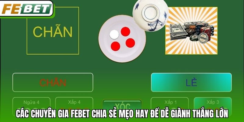 Các chuyên gia Febet chia sẻ mẹo hay để dễ giành thắng lớn