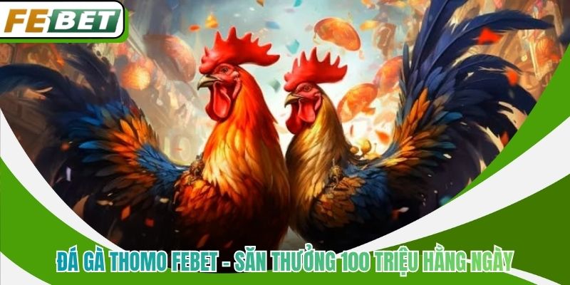 Đá Gà Thomo Febet - Săn Thưởng 100 Triệu Hằng Ngày
