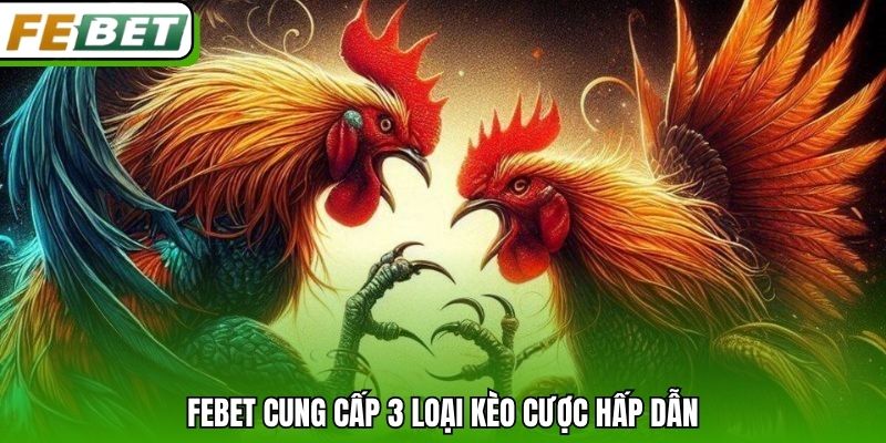Febet cung cấp 3 loại kèo cược hấp dẫn
