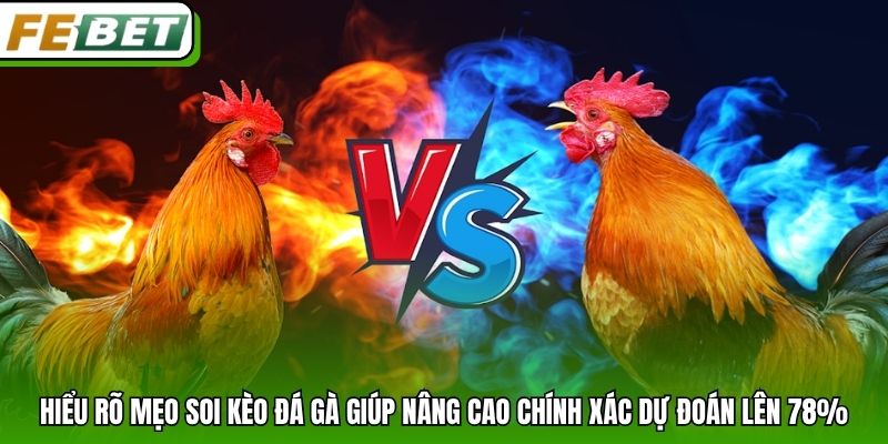 Hiểu rõ mẹo soi kèo đá gà giúp nâng cao chính xác dự đoán lên 78%