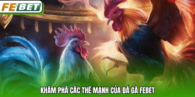 Khám phá các thế mạnh của đá gà Febet