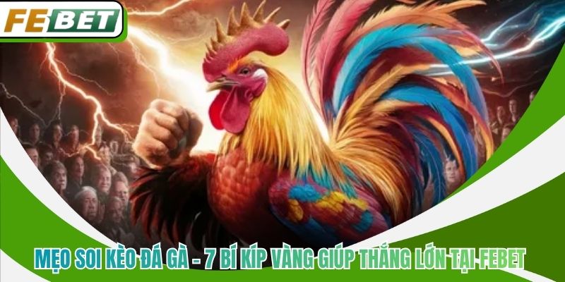 Mẹo Soi Kèo Đá Gà - 7 Bí Kíp Vàng Giúp Thắng Lớn Tại Febet 