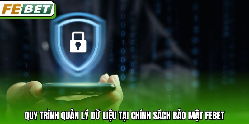 Quy trình quản lý dữ liệu tại chính sách bảo mật Febet